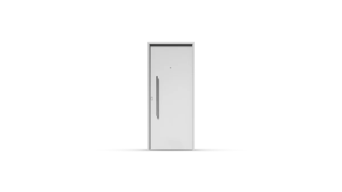 Puerta Lisa con Barral